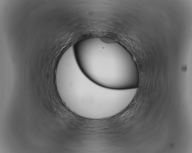 X0000095541057200712141019