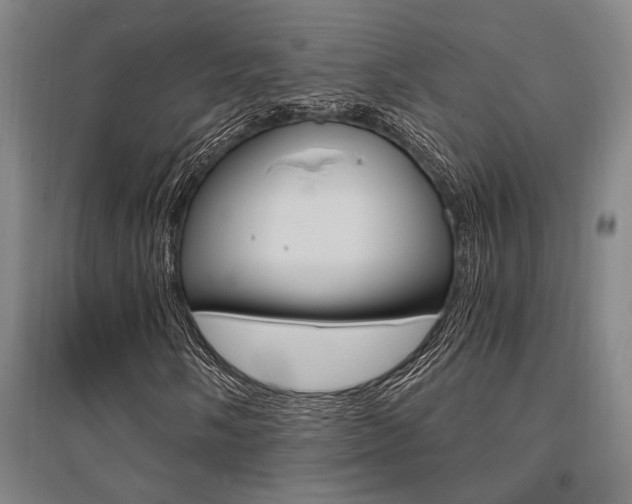 X0000095541058200712141019