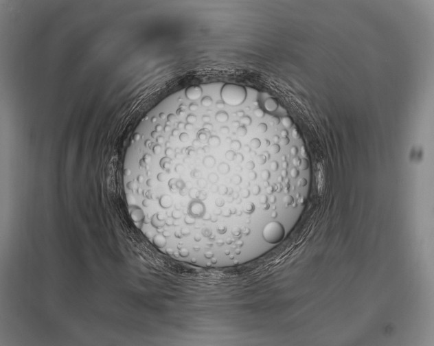 X0000095541059200712141019