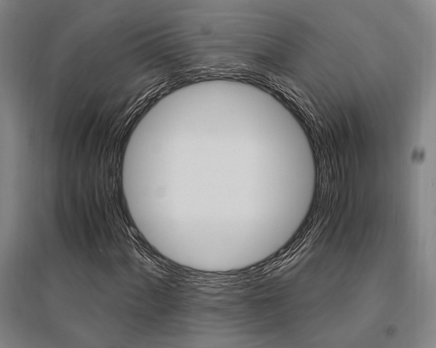 X0000095541060200712141019