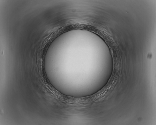 X0000095541061200712141019