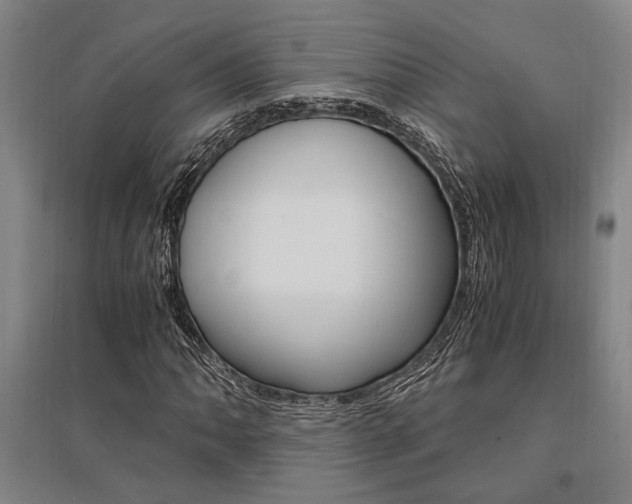 X0000095541062200712141019