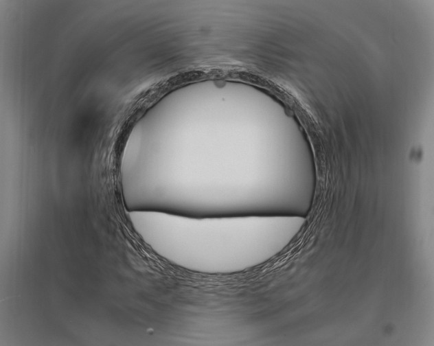 X0000095541063200712141019