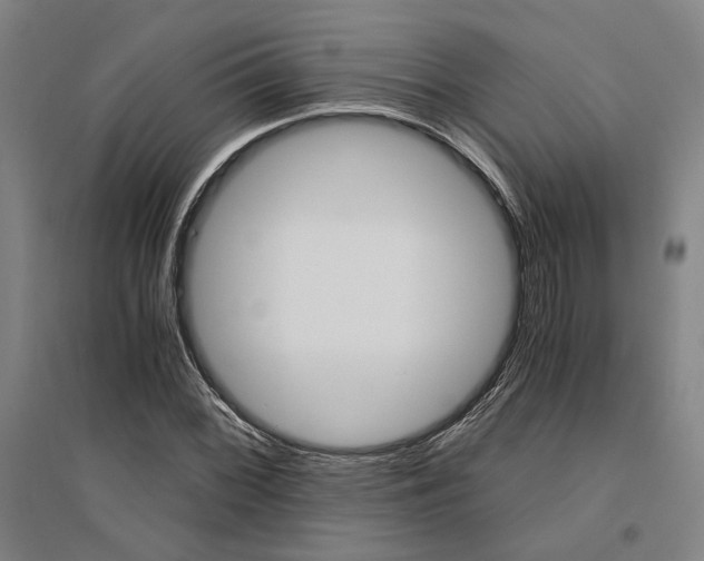 X0000095541068200712141018