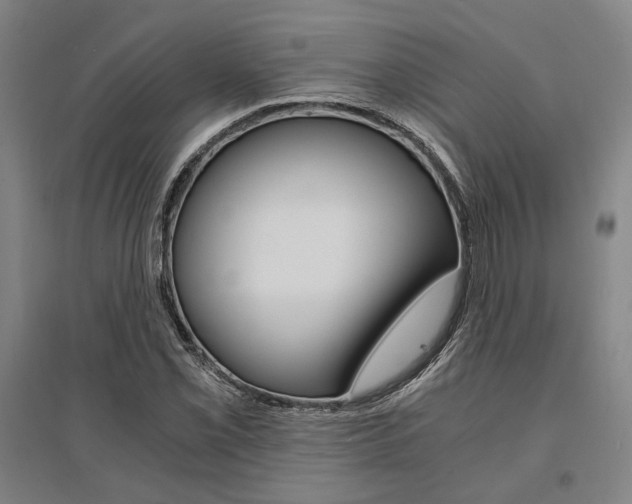 X0000095541069200712141018