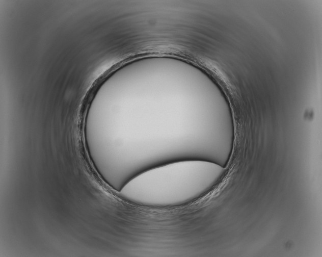X0000095541071200712141018