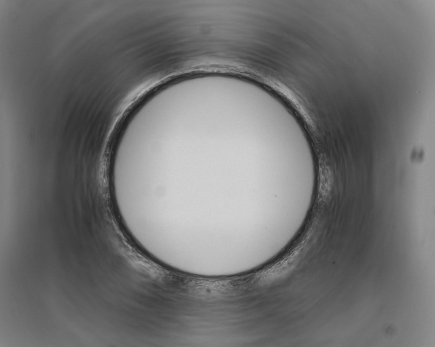 X0000095541074200712141018