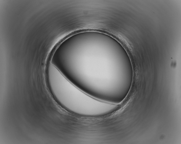 X0000095541077200712141018