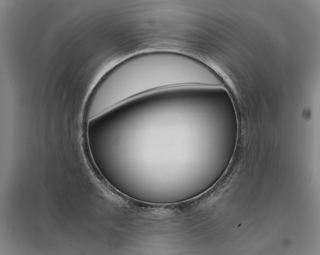 X0000095541085200712141018