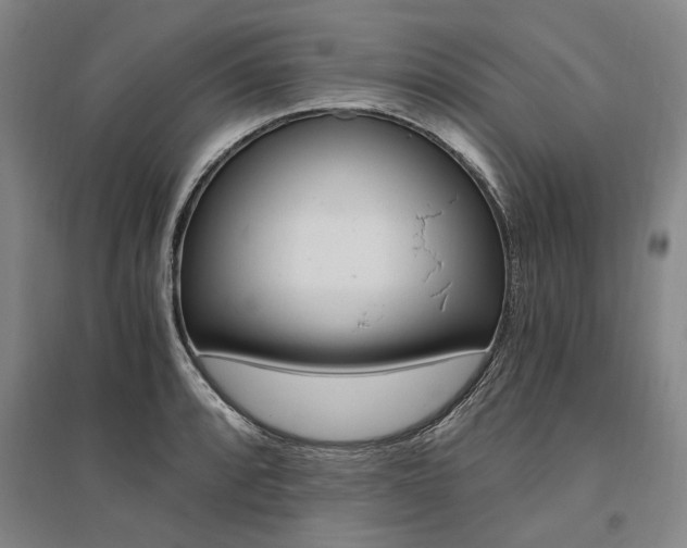 X0000095541088200712141018
