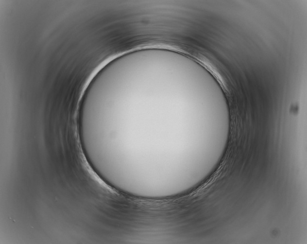 X0000095541092200712141018
