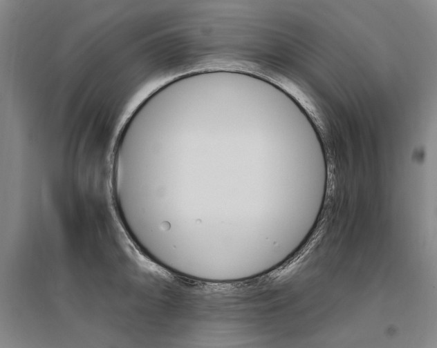 X0000095541094200712141018