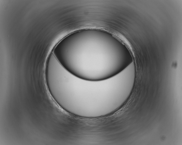 X0000095541096200712141018