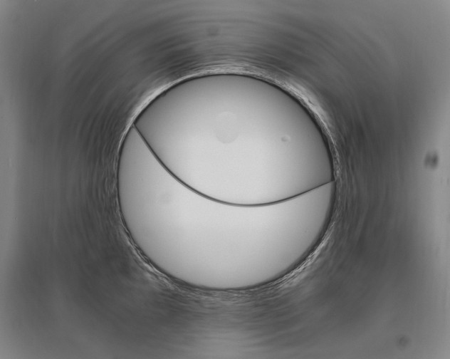 X0000095541097200712141018