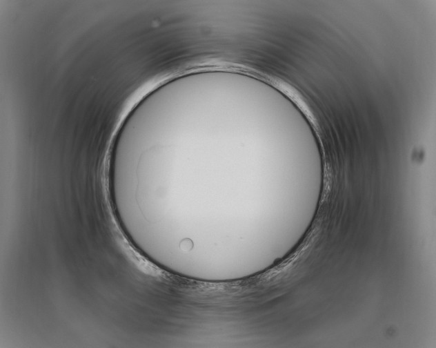 X0000095541098200712141018