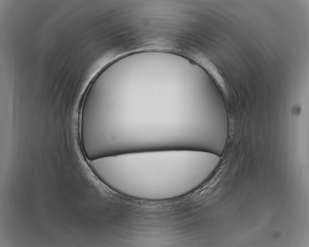 X0000095541099200712141018
