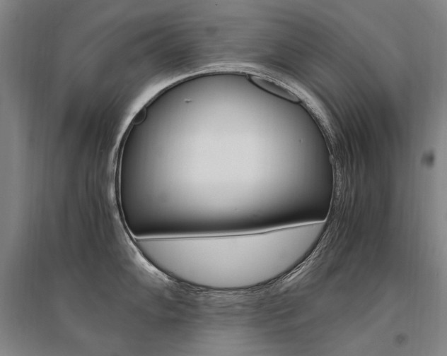 X0000095541102200712141018