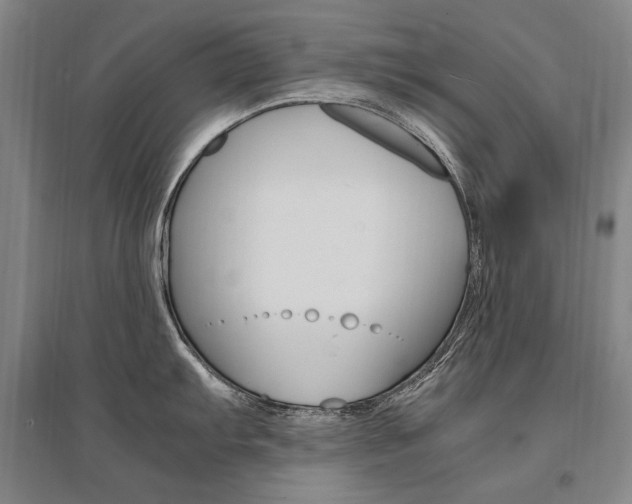 X0000095541103200712141018