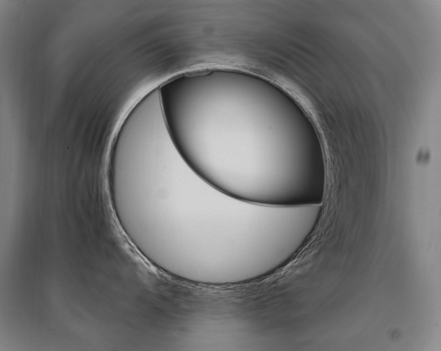 X0000095541104200712141018