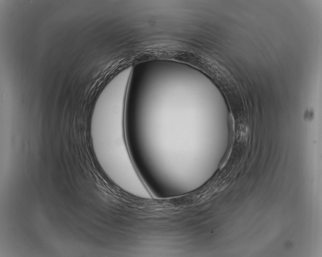 X0000095541108200712141017