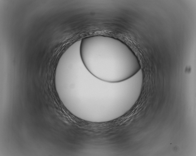 X0000095541109200712141017