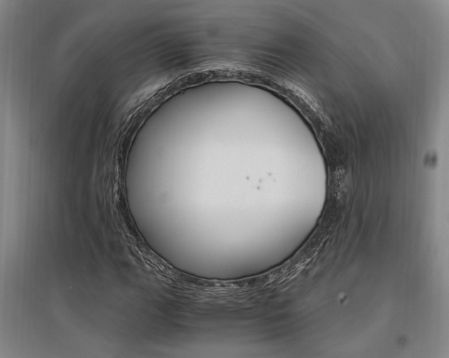 X0000095541111200712141017