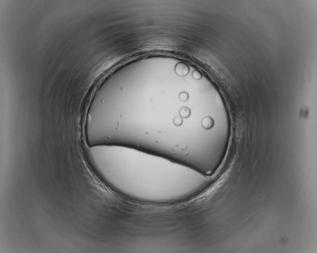 X0000095541113200712141017