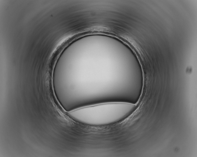 X0000095541115200712141017