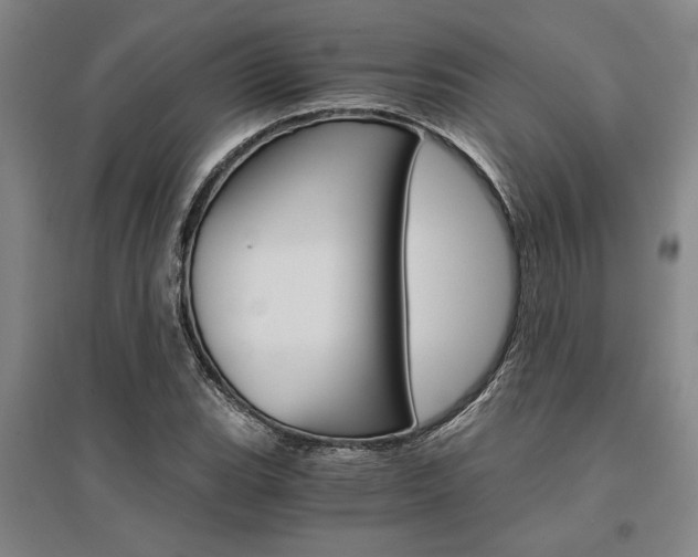 X0000095541119200712141017