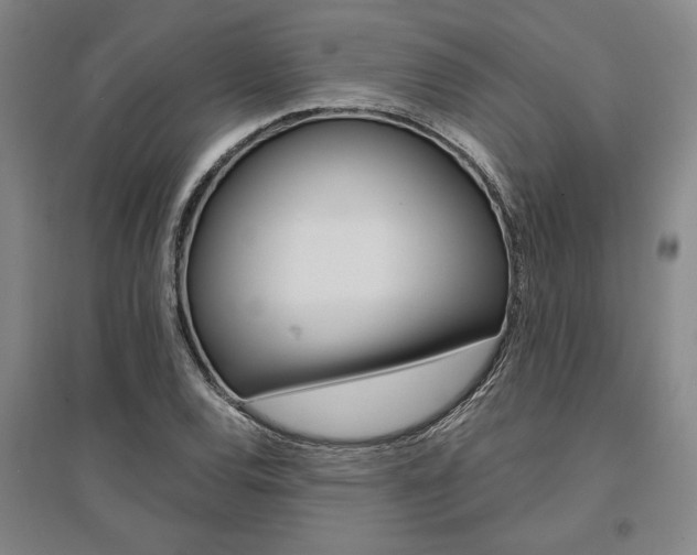 X0000095541120200712141017