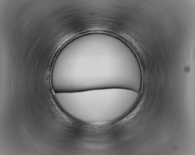 X0000095541121200712141017