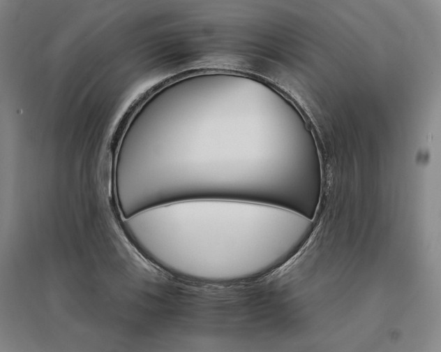 X0000095541123200712141017