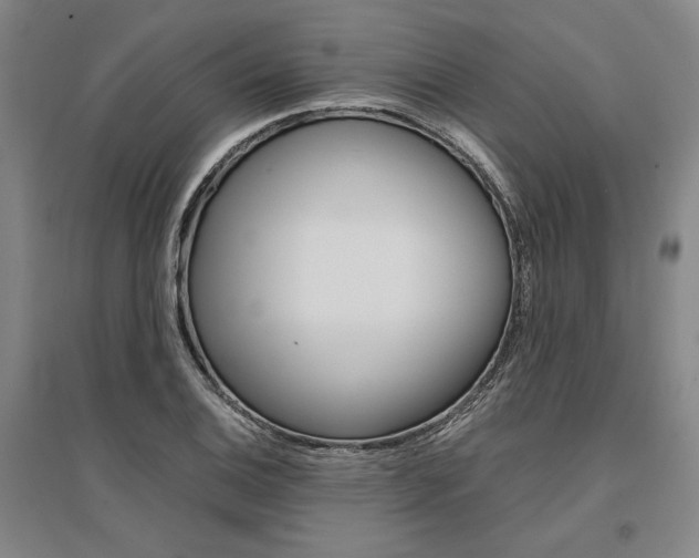X0000095541124200712141017