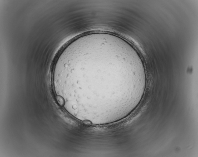 X0000095541125200712141017