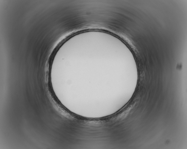 X0000095541126200712141017