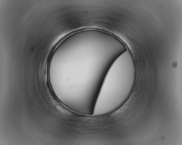 X0000095541127200712141017