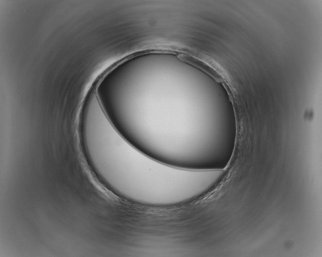 X0000095541128200712141017