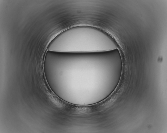 X0000095541129200712141017