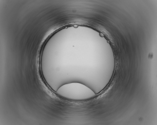 X0000095541130200712141017