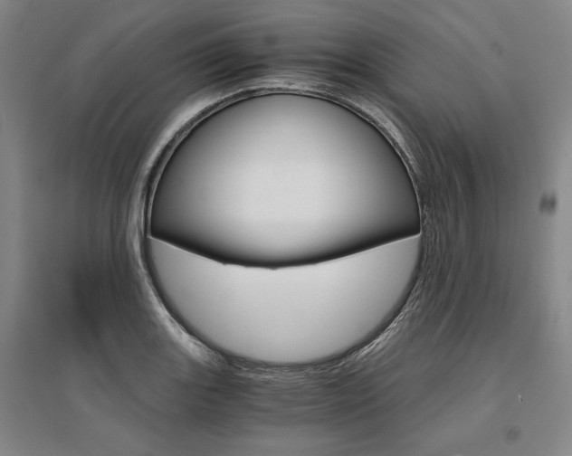X0000095541131200712141017