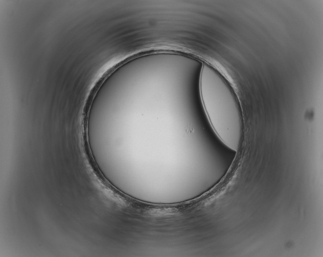 X0000095541133200712141017