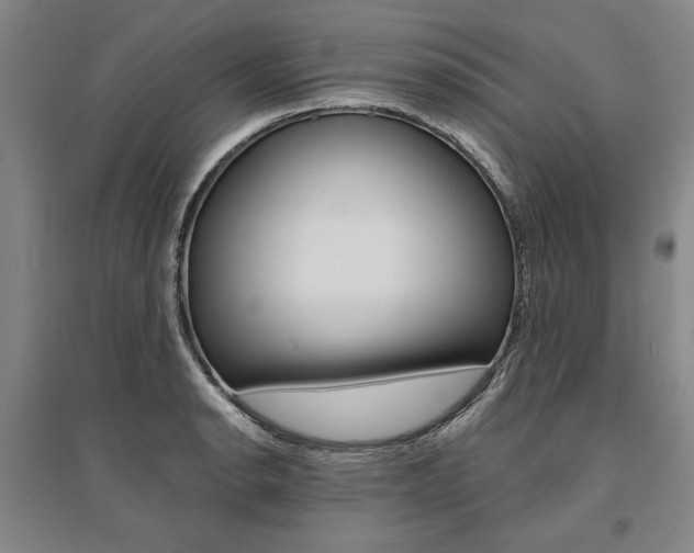 X0000095541134200712141018