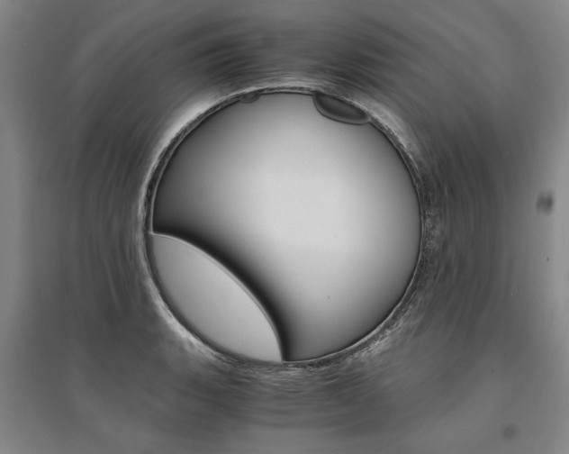X0000095541135200712141018