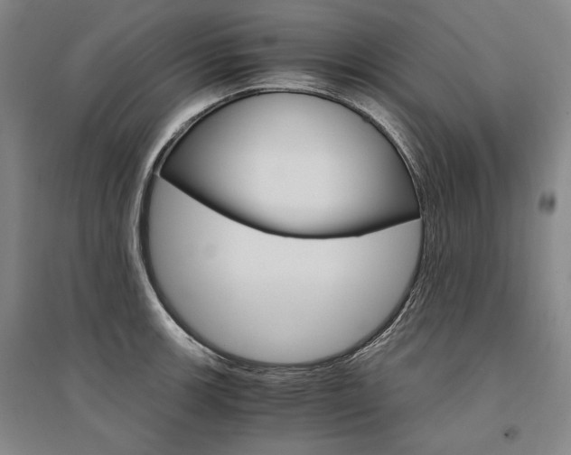 X0000095541139200712141018