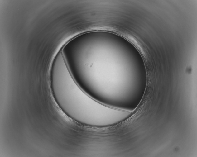 X0000095541140200712141018