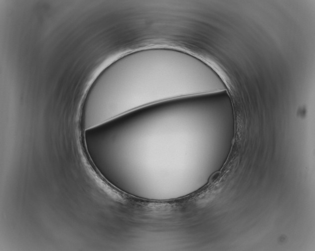 X0000095541142200712141018