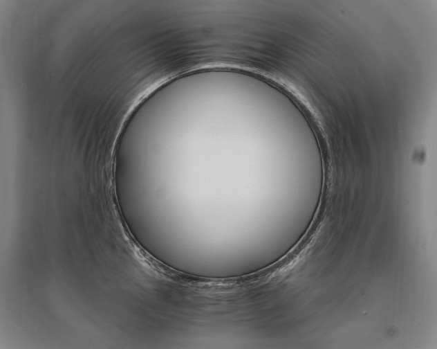 X0000095541145200712141018
