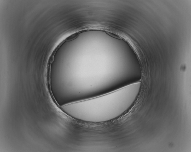 X0000095541147200712141018