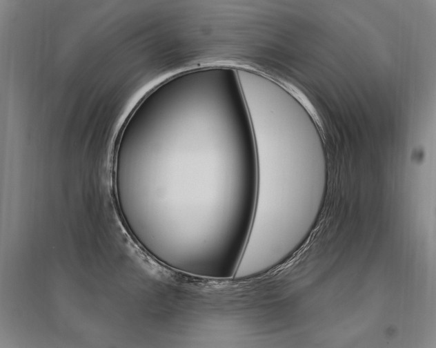X0000095541148200712141018