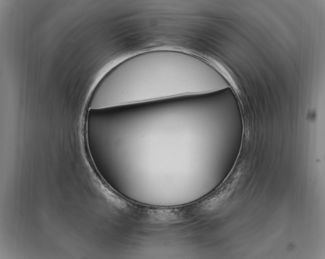 X0000095541149200712141018